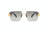 Sunglasses| Maybach 2